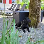 - Auszeit Im Bad Diezlings - Adults Only Apartmán Hörbranz