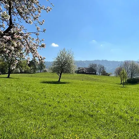 - Auszeit Im Bad Diezlings - Adults Only Apartment Horbranz