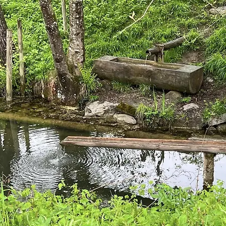 Apartment - Auszeit Im Bad Diezlings - Adults Only Hörbranz