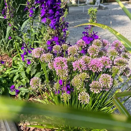 - Auszeit Im Bad Diezlings - Adults Only Apartment Hörbranz