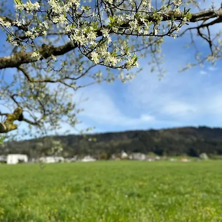 - Auszeit Im Bad Diezlings - Adults Only Apartment