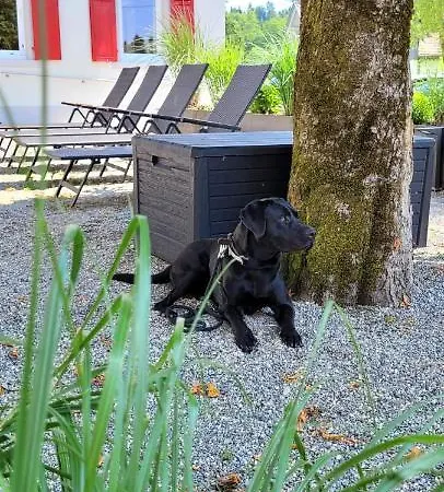 - Auszeit Im Bad Diezlings - Adults Only Apartment Horbranz